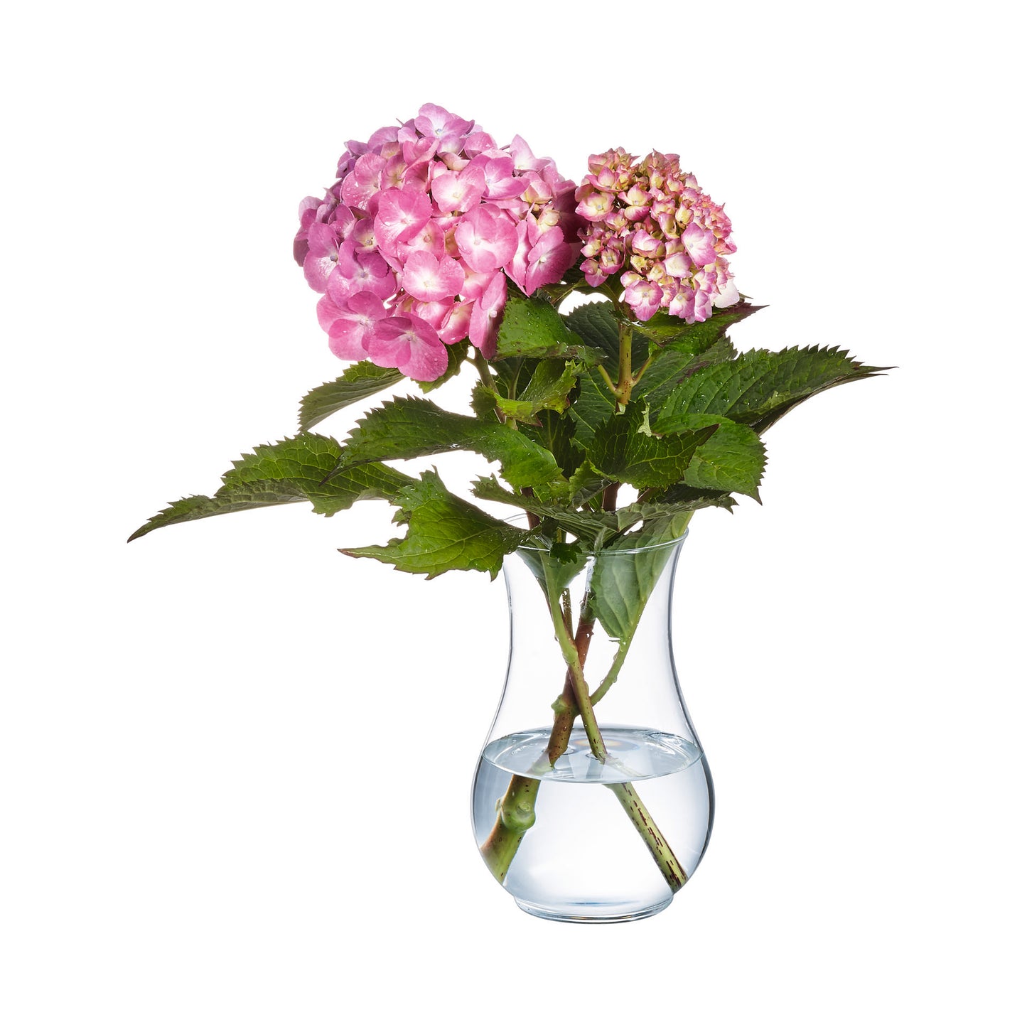 LUMINARC OXYGEN VASE 20